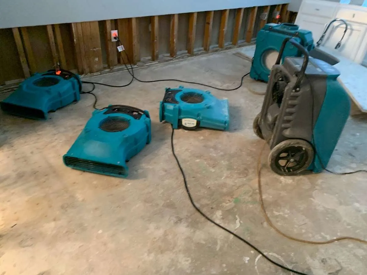 Odor Removal & Deodorization in Independence, KY